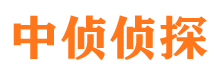 天山市私人调查